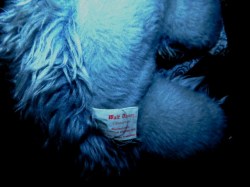 disney bear label